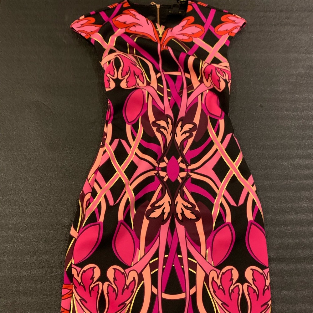 Ted Baker Women’s Dress TED size 0